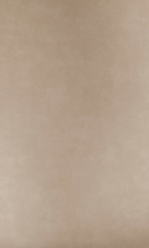 Designer Walls Velvet Champagne Plain DW1007