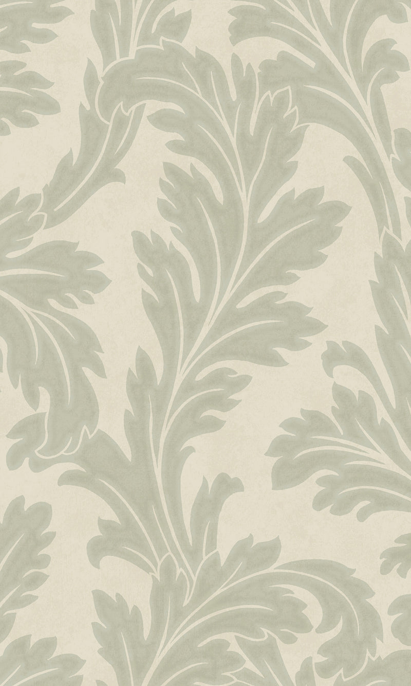 Eleganza Acanthus Sage - Cream 36430