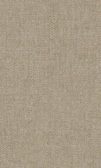 Sahara Sinamay Taupe 66082