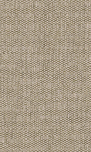 Sahara Sinamay Taupe 66082