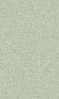 Precious Weaves Mysore - Plain Fog Green PW1111