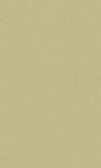 Precious Weaves Trente Lime Peel PW1210