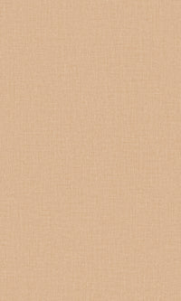 Precious Weaves Trente Honey Peach PW1212