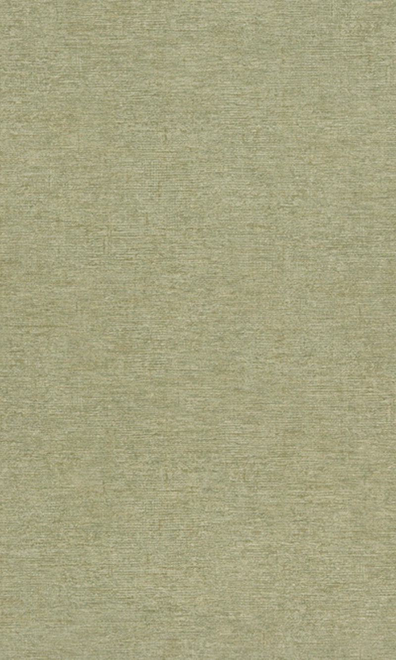 Precious Weaves Dakota - Plain Neutral Green PW1315