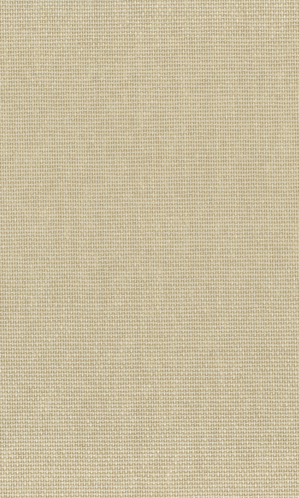 The Textured Paper Art Cracker Khaki N-NP6005