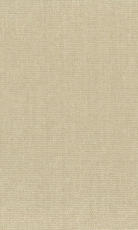 The Textured Paper Art Cracker Khaki N-NP6005