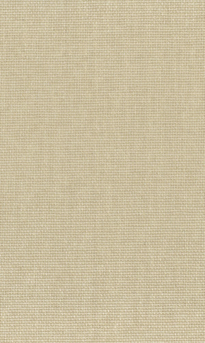 The Textured Paper Art Cracker Khaki N-NP6005