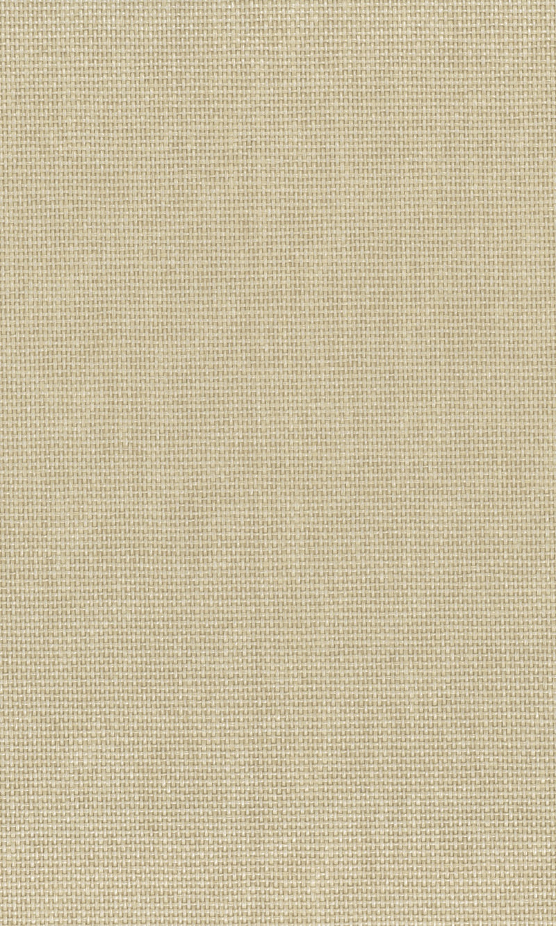 The Textured Paper Art Cracker Khaki N-NP6005