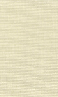 The Textured Paper Art Afghan Hound N-NP6007