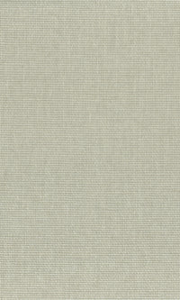 The Textured Paper Art Kamenozoki Grey  N-NP6009