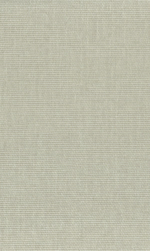 The Textured Paper Art Kamenozoki Grey  N-NP6009