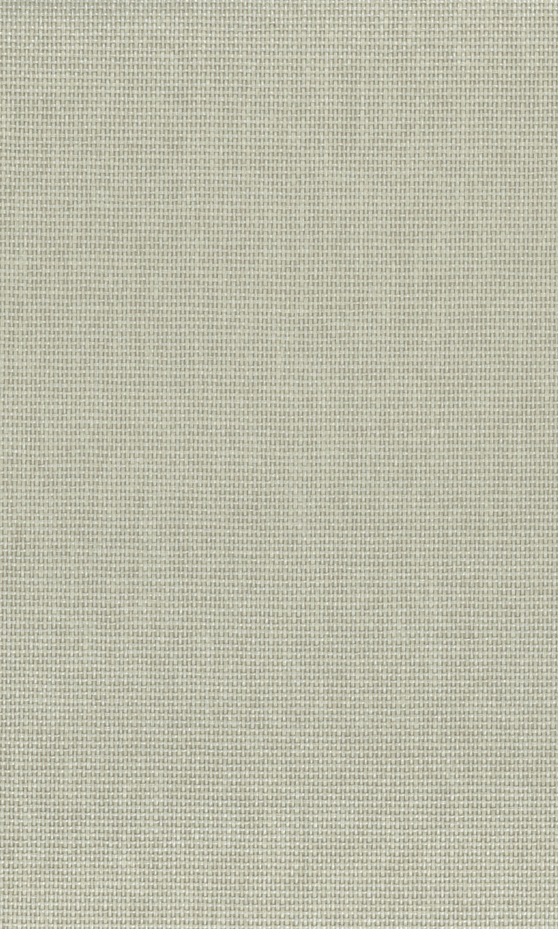 The Textured Paper Art Kamenozoki Grey  N-NP6009