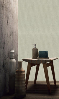 The Textured Paper Art Kamenozoki Grey  N-NP6009