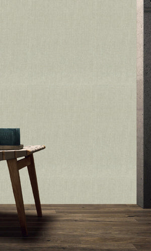 The Textured Paper Art Kamenozoki Grey  N-NP6009