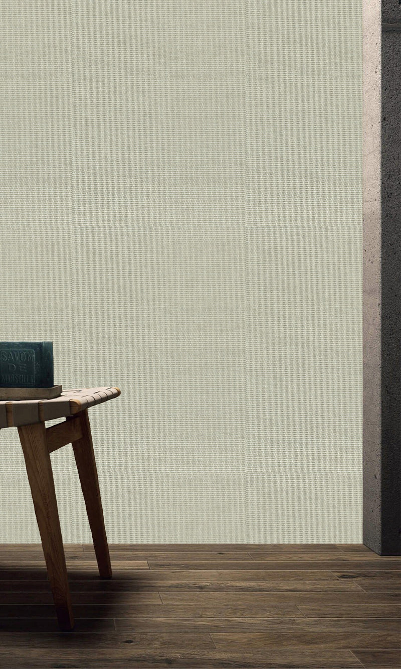 The Textured Paper Art Kamenozoki Grey  N-NP6009