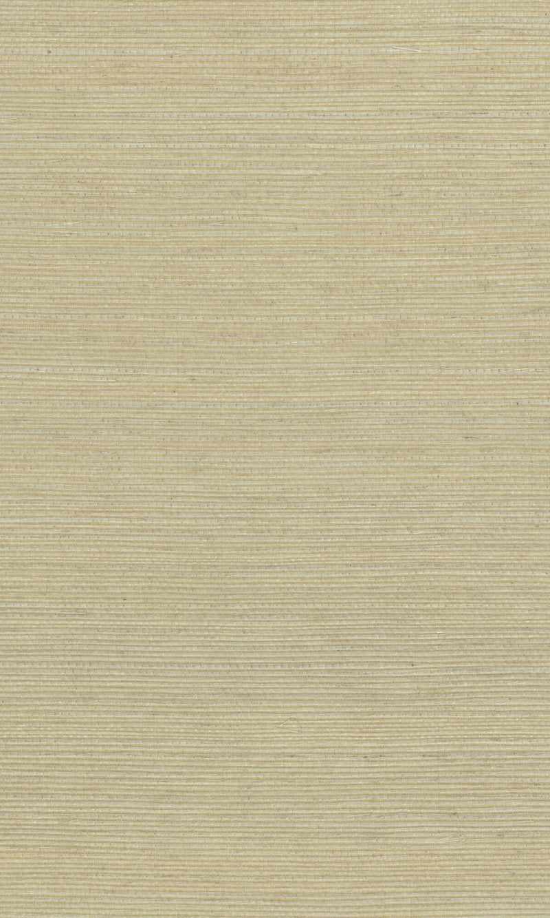 The Textured Color Elegance II Crocker Grove N-NS1013