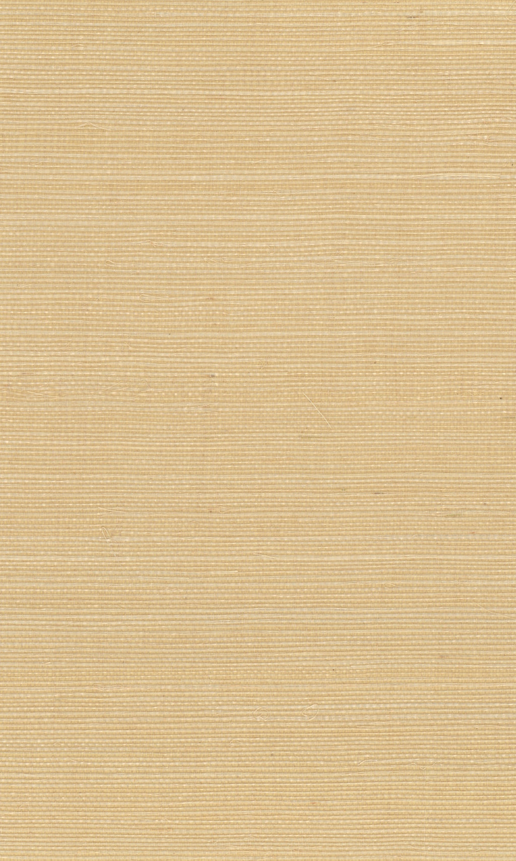 The Textured Color Elegance II  Clumsy Caramel N-NS1039