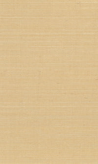 The Textured Color Elegance II  Clumsy Caramel N-NS1039