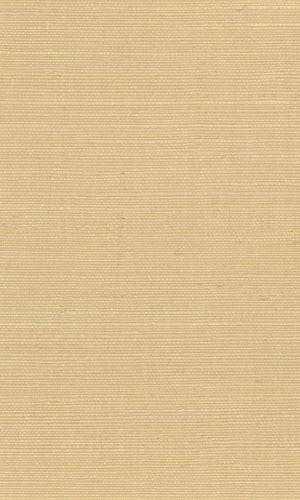 The Textured Color Elegance II  Clumsy Caramel N-NS1039