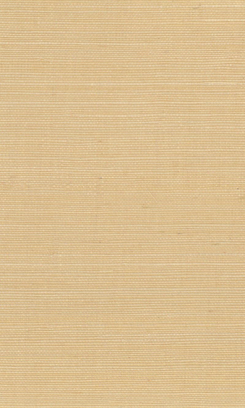 The Textured Color Elegance II  Clumsy Caramel N-NS1039
