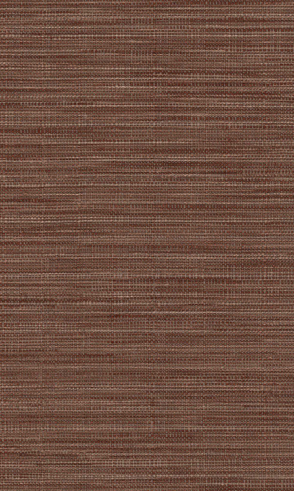 Imani Adania Cioccolato IM28041