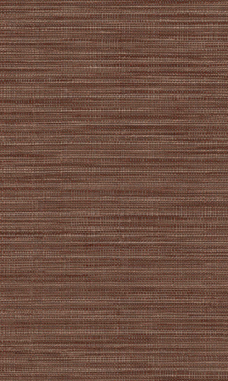 Imani Adania Cioccolato IM28041