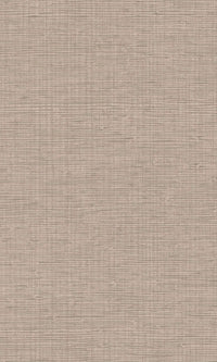 Imani Belize Birchwood IM28055