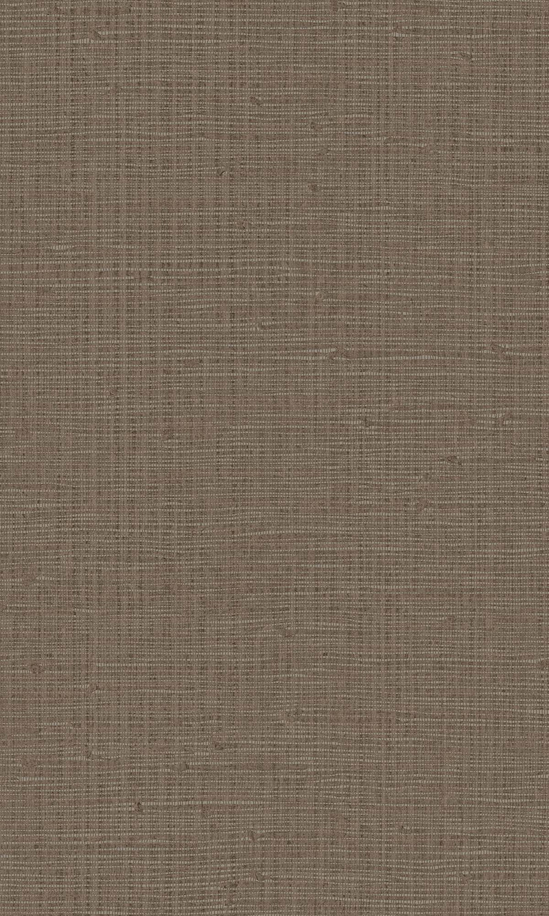 Imani Belize Ceylonese IM28056