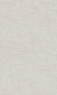 Antibes Textile Plain Silver Creek AN28202