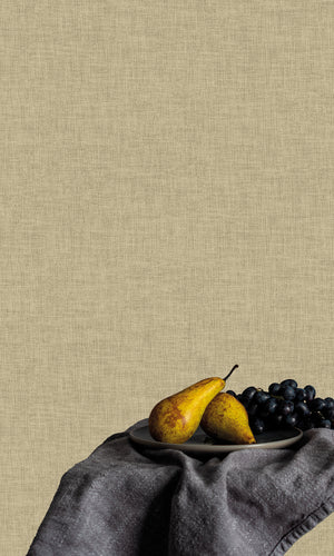 Antibes Textile Plain Sepia Stone AN28210