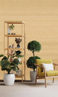 Imani Montserrat Burning Gold IMD28111