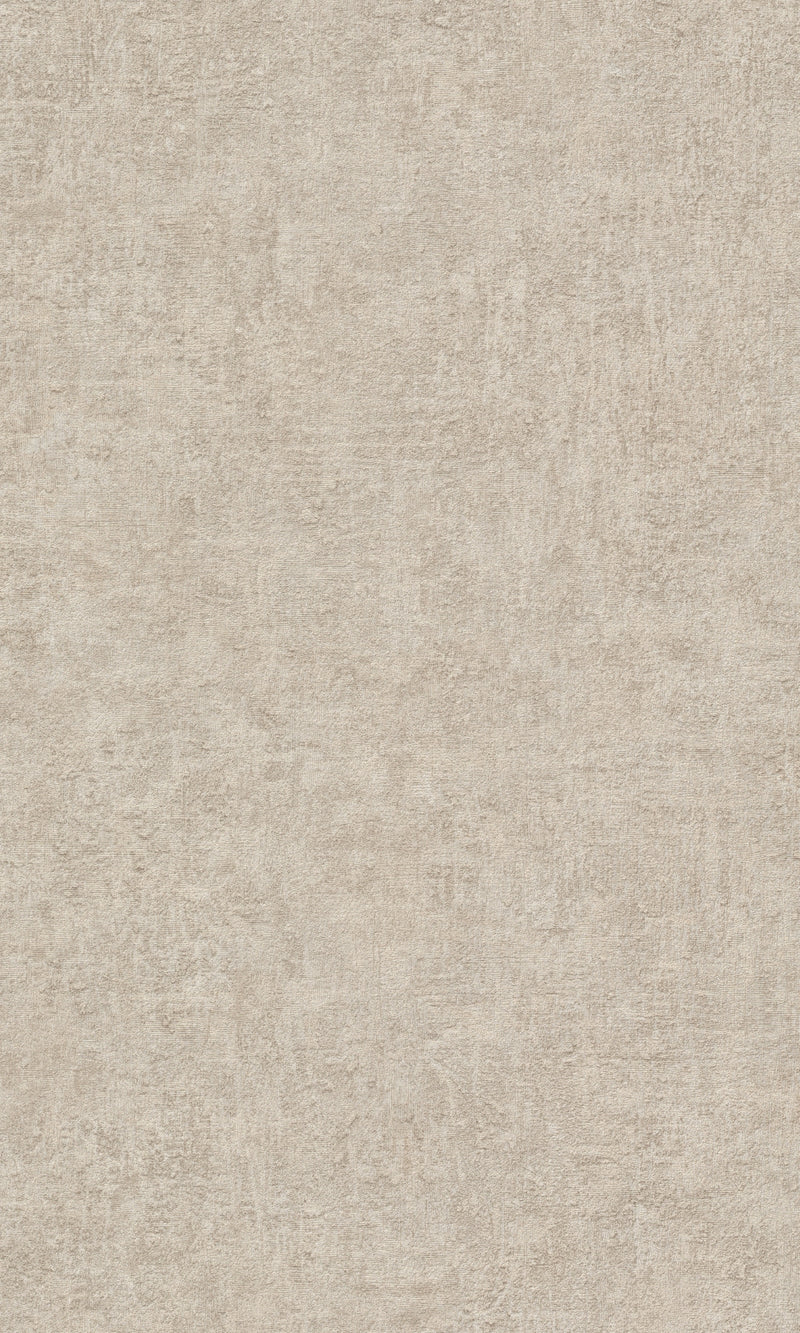 Belize Taupe Plaster Uni BZ1005