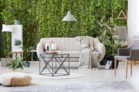 overgrowth hanging vines living wall wallpaper mural