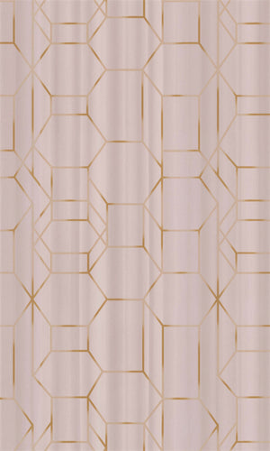 Dimension Pink & Gold Linked Geometrics 219601