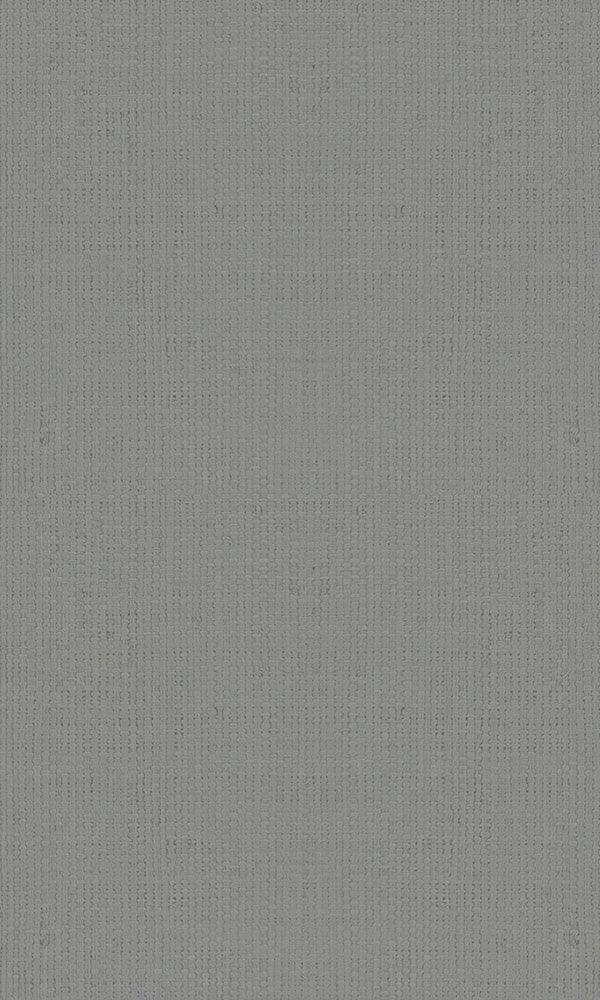 Casual Grey Textured Plain Weave 30449