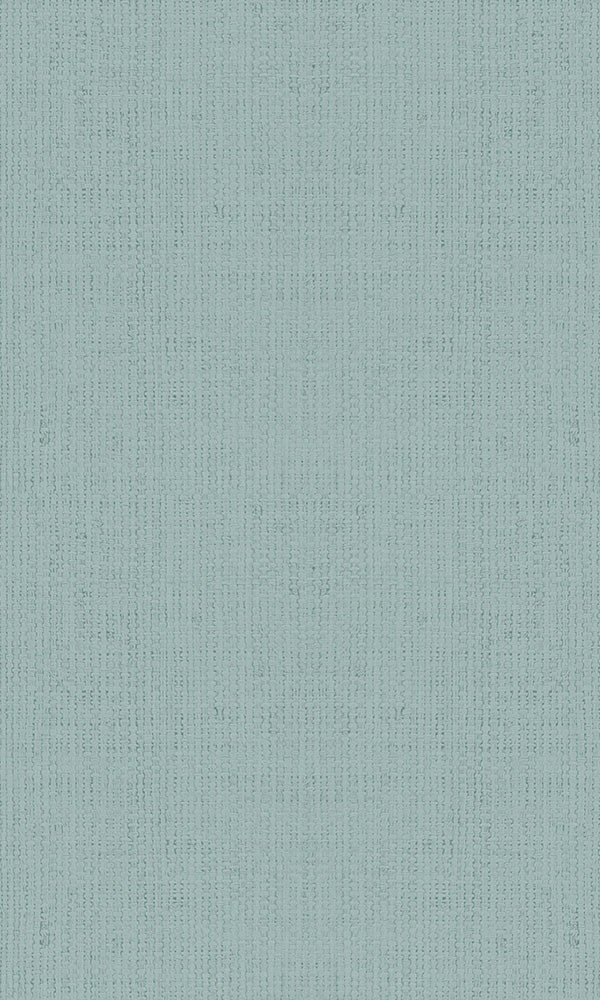 Casual Pale Blue Textured Plain Weave 30453