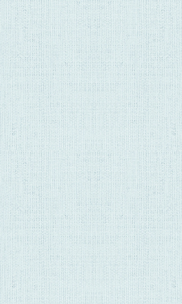 Casual Pastel Blue Textured Plain Weave 30457