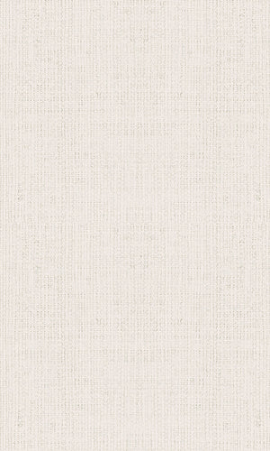 Casual Taupe Textured Plain Weave 30458