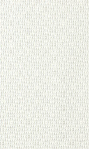 Inspire Nylon Wallpaper 45402