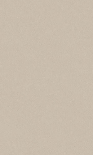 Texture Stories Beige Smooth Wallpaper 49358