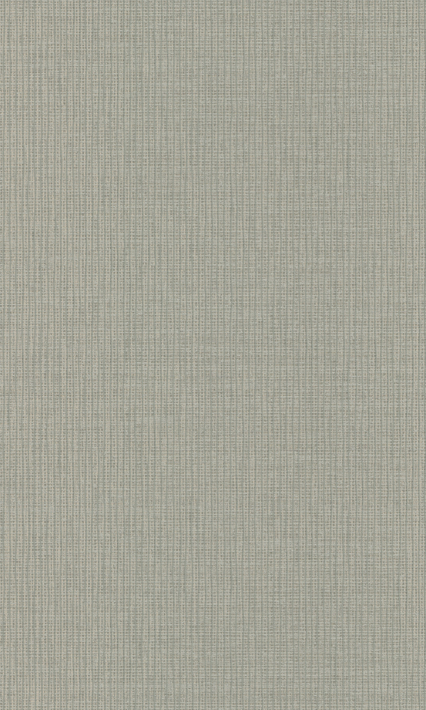 Phoenix Dark Grey Textile Plain A47011