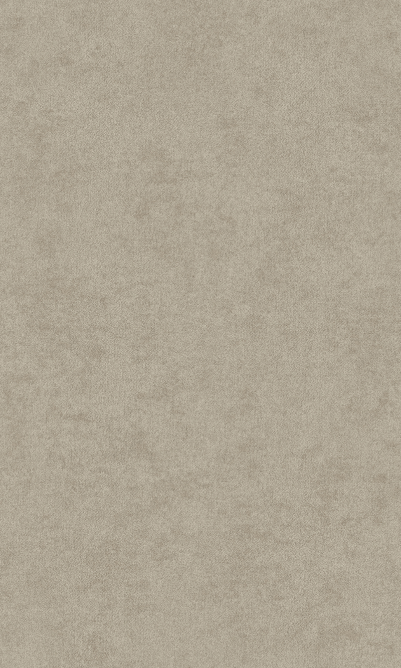 Affinity Beige Plain Textured AF24504