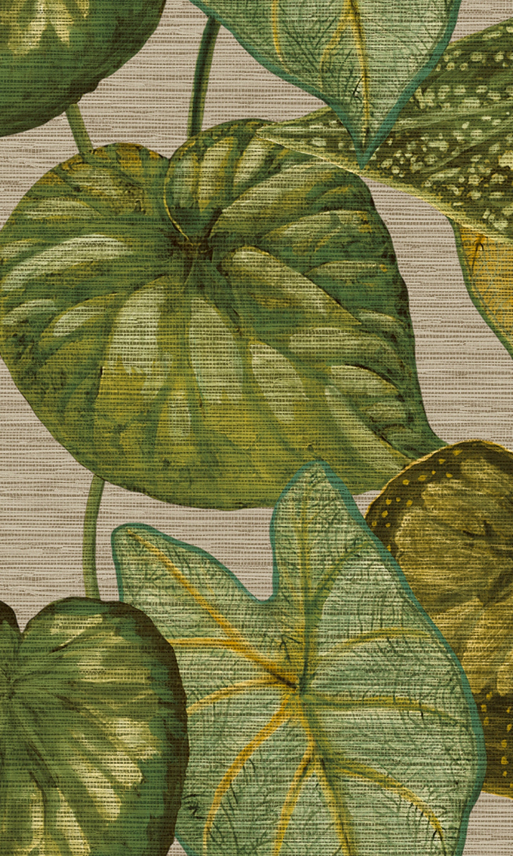 Tahiti Beige & Green  Tropical Leaves Wallpaper TA25052