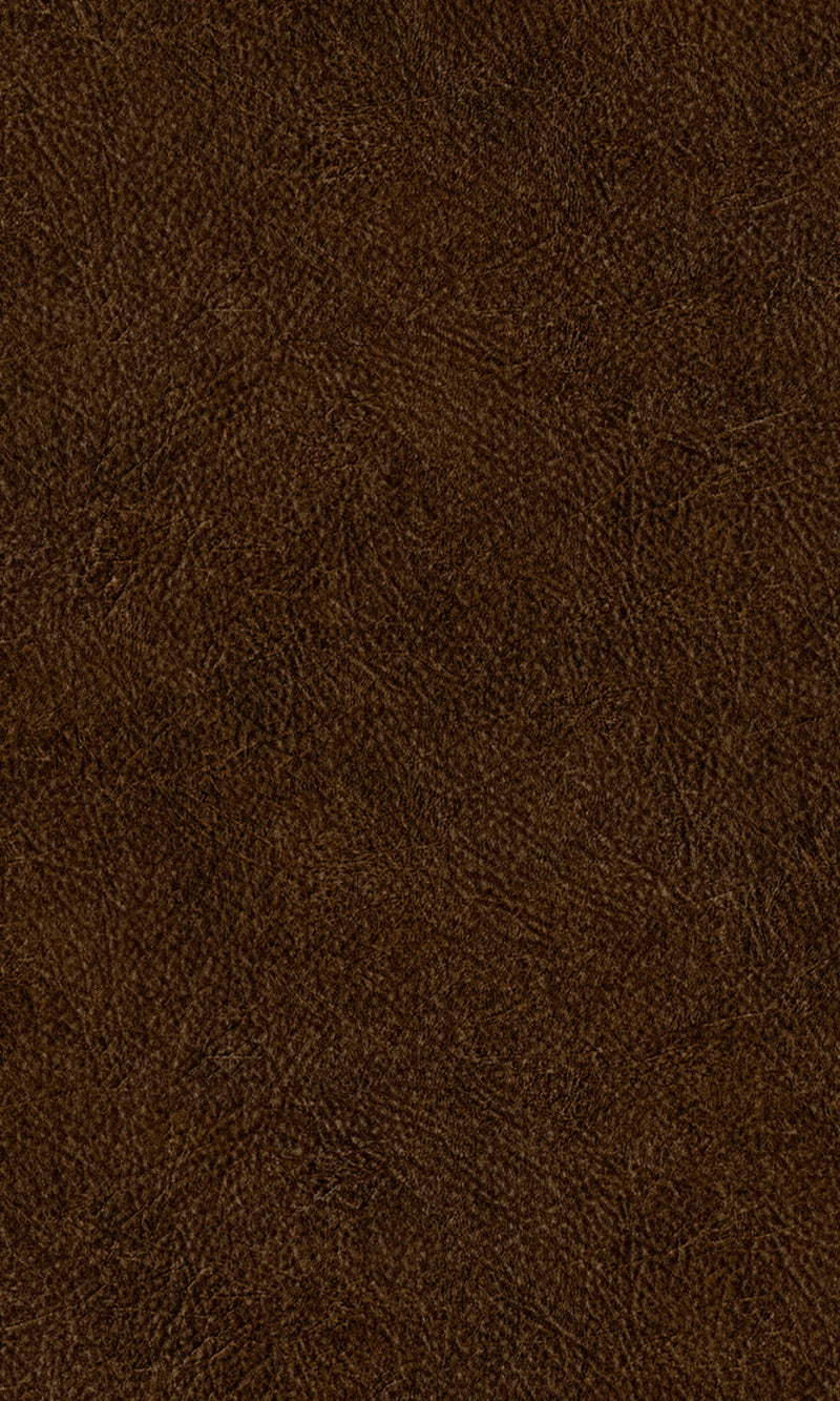Tahiti Brown Leather Plain Wallpaper TA25025