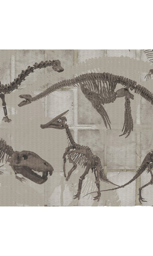 Custom Murals Dinosaurs Wallpaper DIN-100B