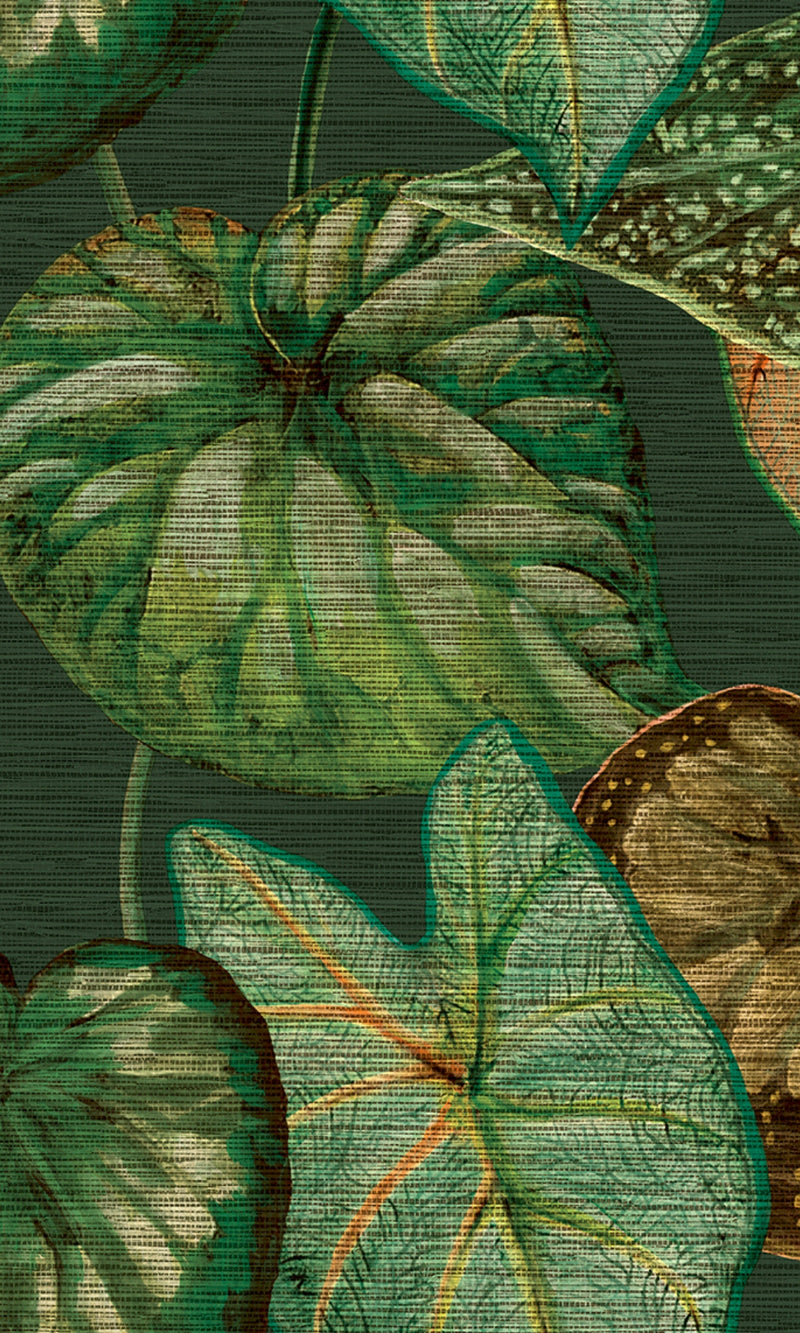 Tahiti Green Tropical Leaves Wallpaper TA25054