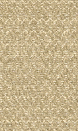 Tahiti Greige Ikat Textile TA25031