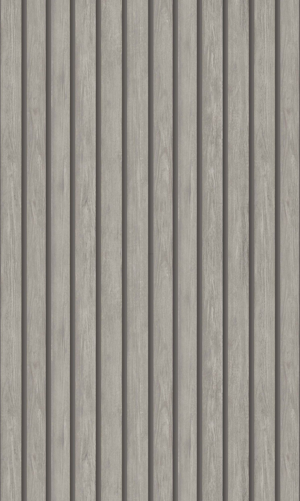 Cascading Gardens Grey Acacia 91383