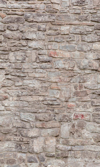 One Roll One Motif Castle Wall A51701