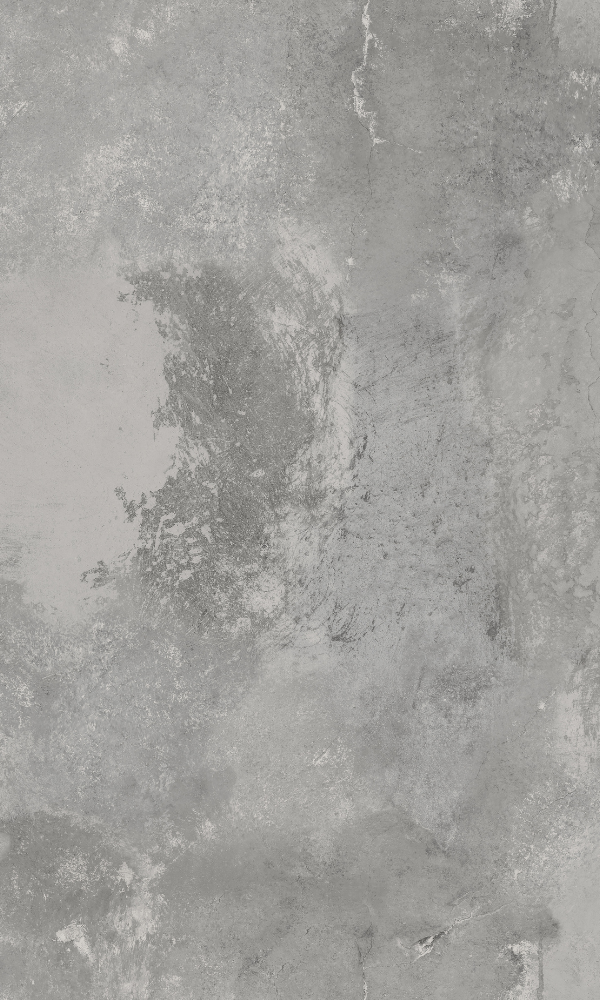 Wanderlust Grey Rugged Weathered Concrete WL1201